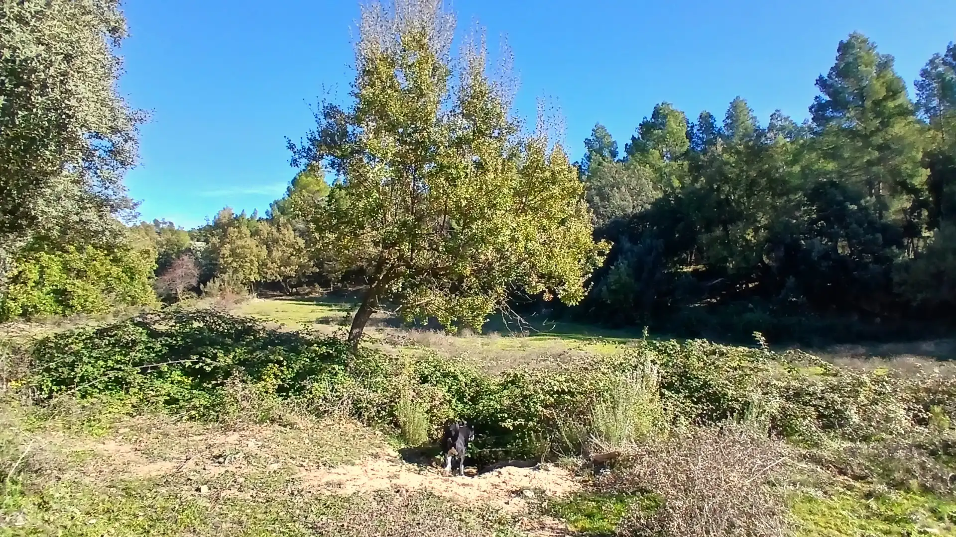 Terreno rustico in vendita a Calle Tremedal 13, imagen 12