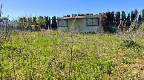 Foto 2 de Terreny en venda a Pelagatos - Pago del Humo, Chiclana de la Frontera