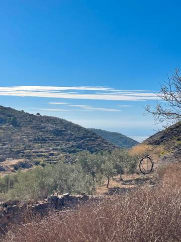 Terreno residencial en Venta en Calle las Cruces, 4 en Enix