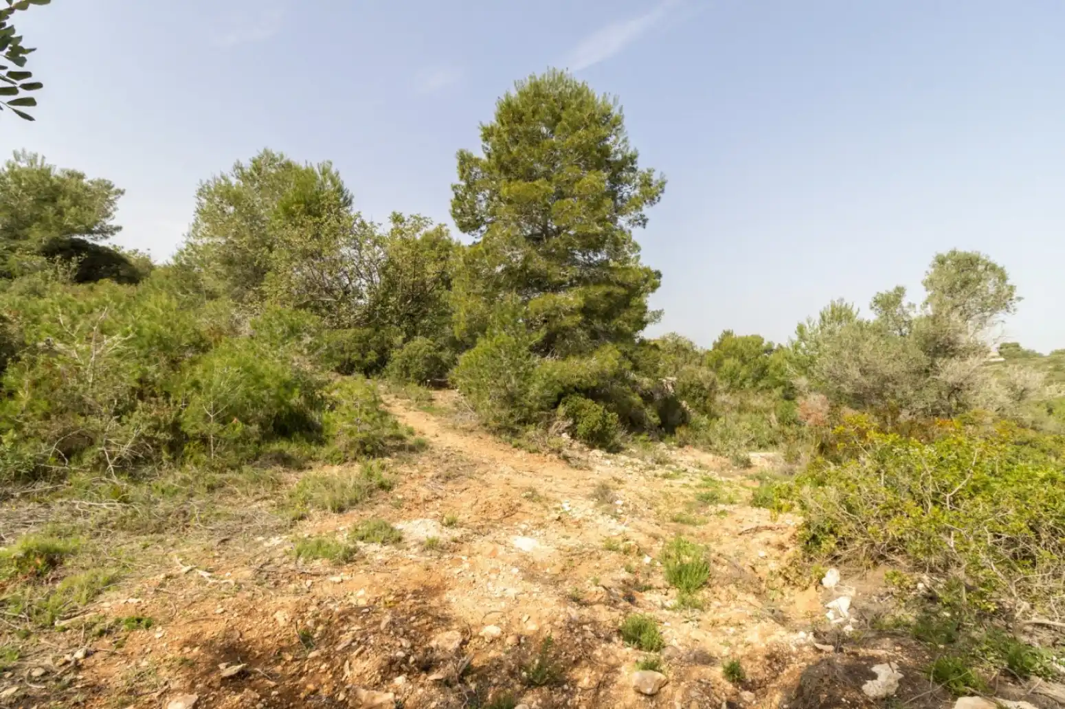 Rustikales Grundstück zum Verkauf in Monserrat - Montserrat - Calle de la malaguenya, imagen 8