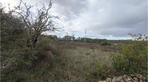 Foto 3 de Finca rústica en venda a Poligono 7 Parcela 289, Llubí, Illes Balears