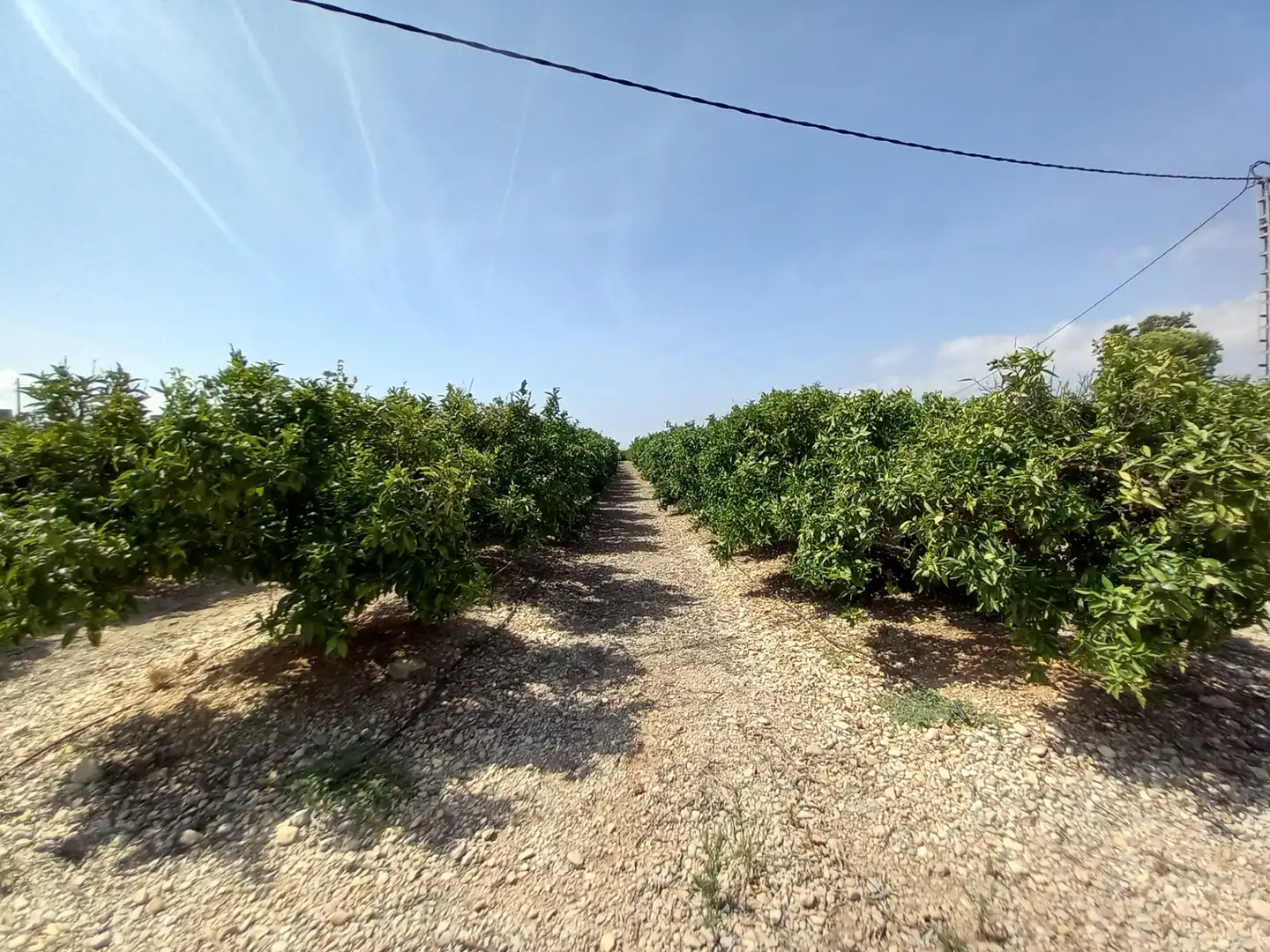 Terreno rustico in vendita a Costa Norte, imagen 40