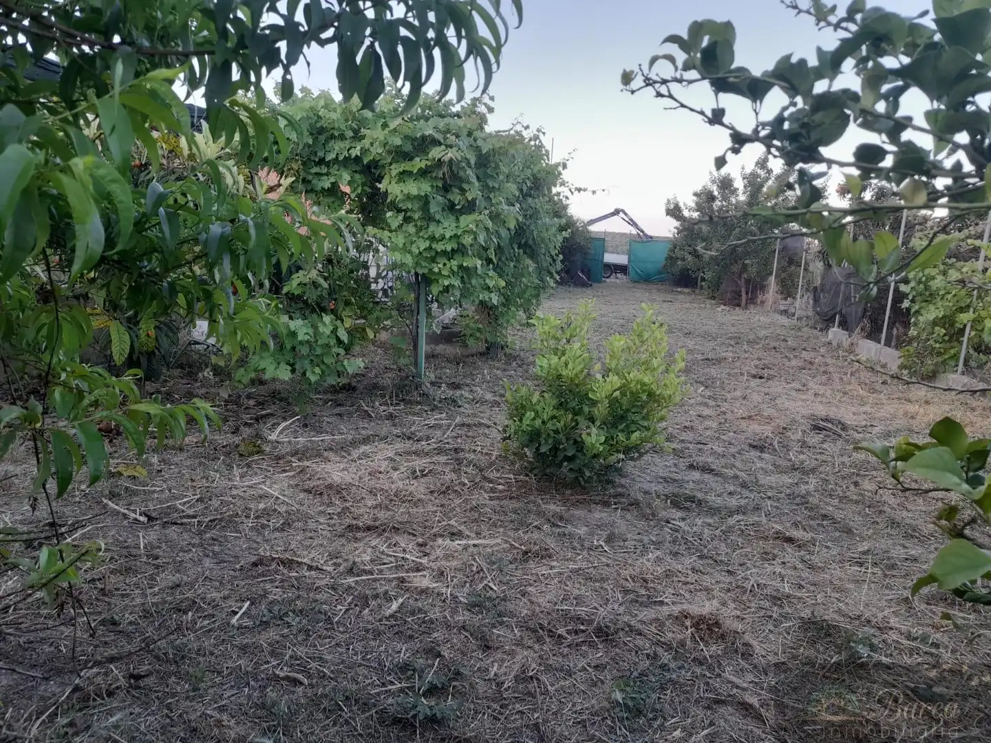 Casa rustica in vendita a Rute, imagen 3