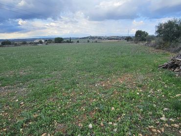 Terreni e lotti in vendita a Ariany
