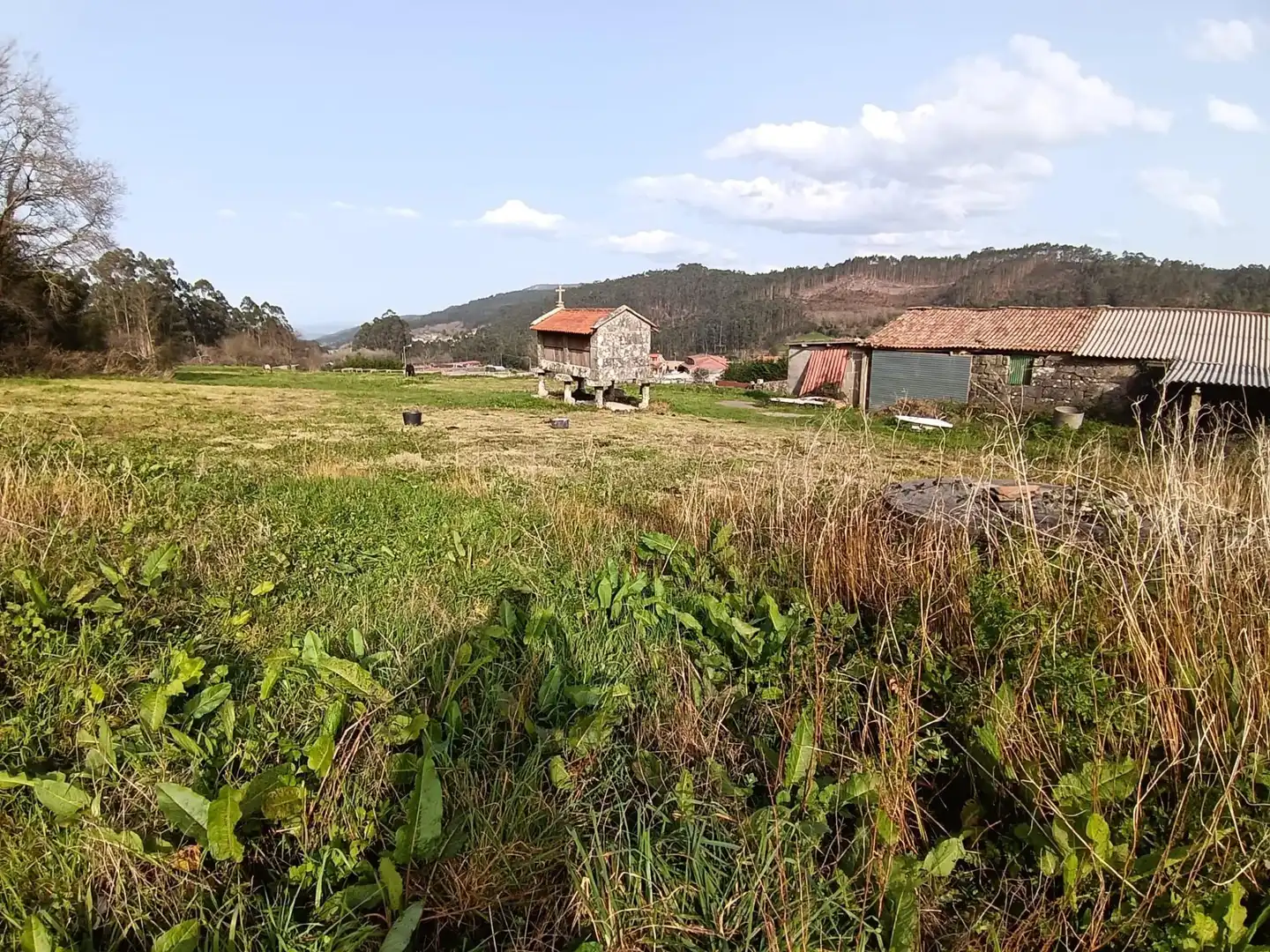 Country homes for sale in Meis