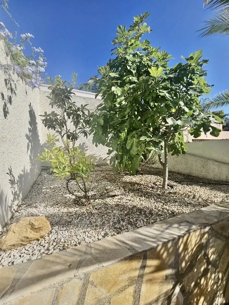 Houses for sale in L'Albir