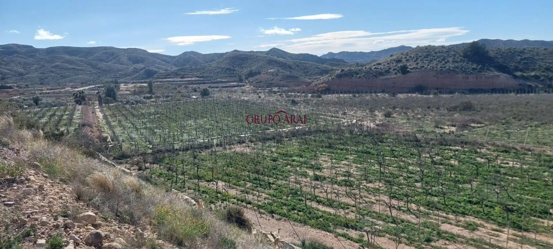 Terreno rústico en venta en Avenida del Mediterráneo, imagen 7