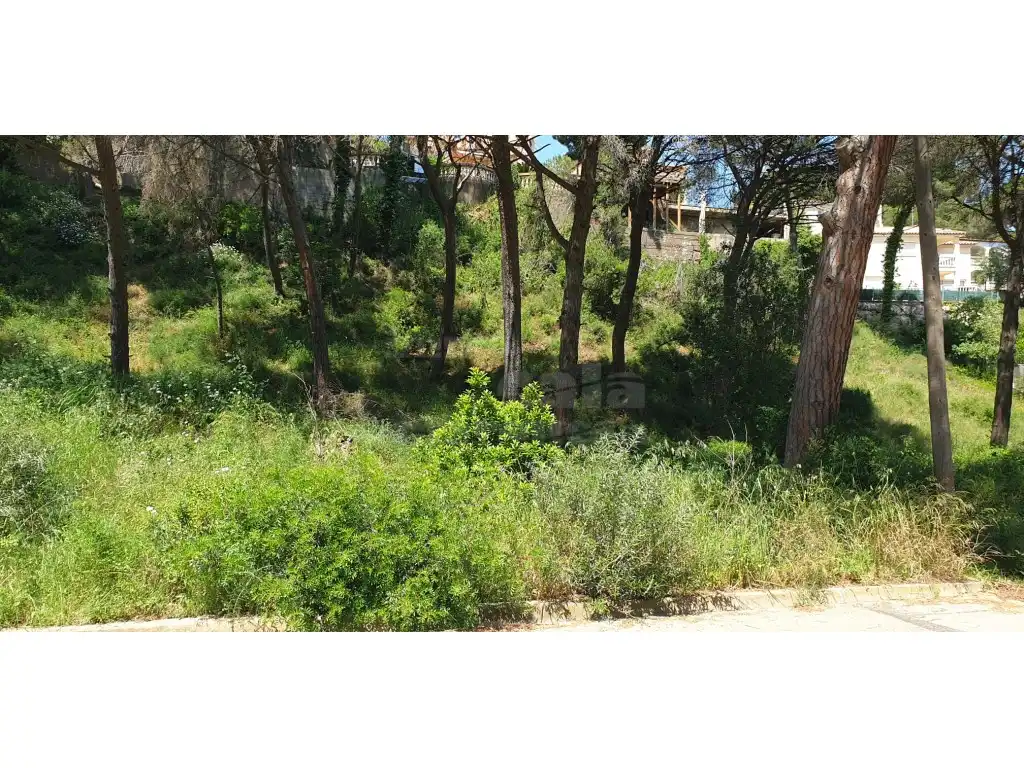 Terrain résidentiel à vendre à Platja de Pals, imagen 5