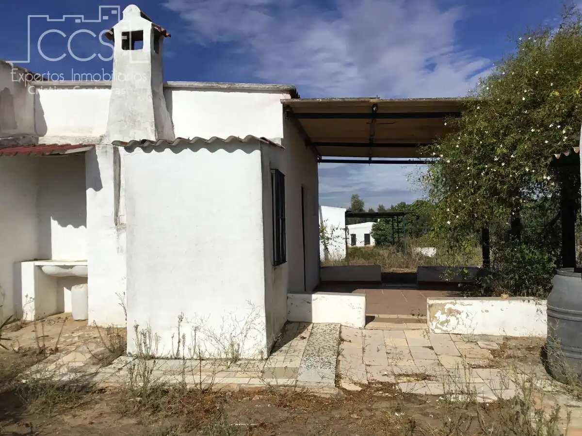 Country house for sale in Almonte ciudad, imagen 28
