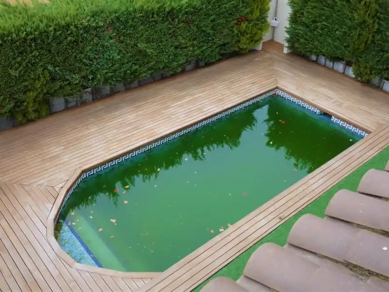 Casa amb piscina en venda a BERNAT DESCLOT, imagen 22