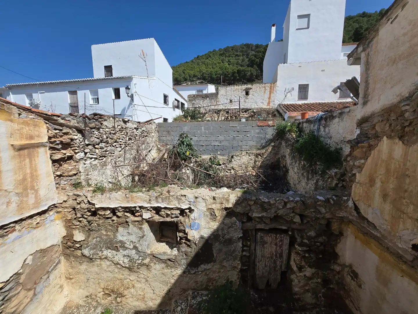 Vista exterior de Finca rústica en venta en Alcaucín