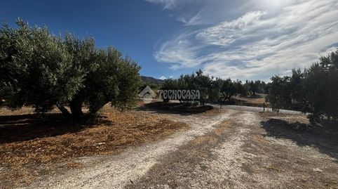Terrenos en venta en Jódar, immagine 4
