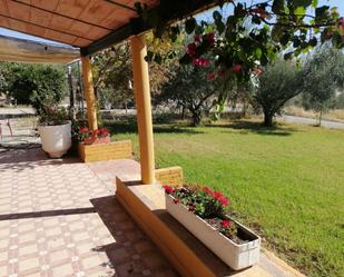 Jardí de Finca rústica en venda en El Carpio amb Aire condicionat, Jardí privat i Terrassa