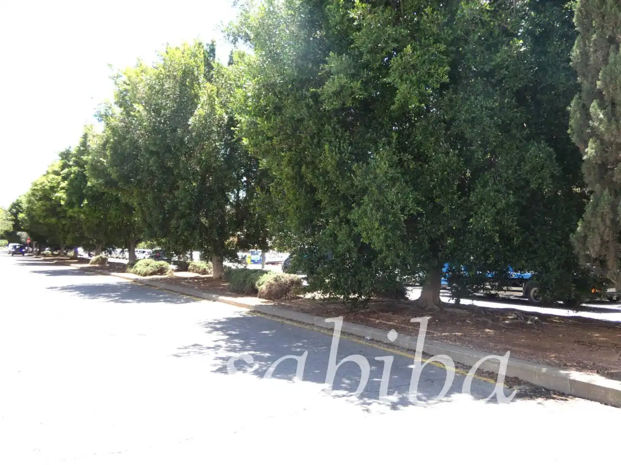 Vista exterior de Pis en venda en Mislata amb Aire condicionat i Terrassa