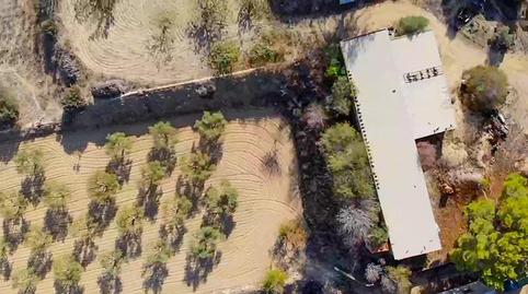 Foto 3 de Finca rústica en venda a Polígono Polígono 163 Parcela 261 Santa Ana. Elche, Perleta - Maitino, Alicante