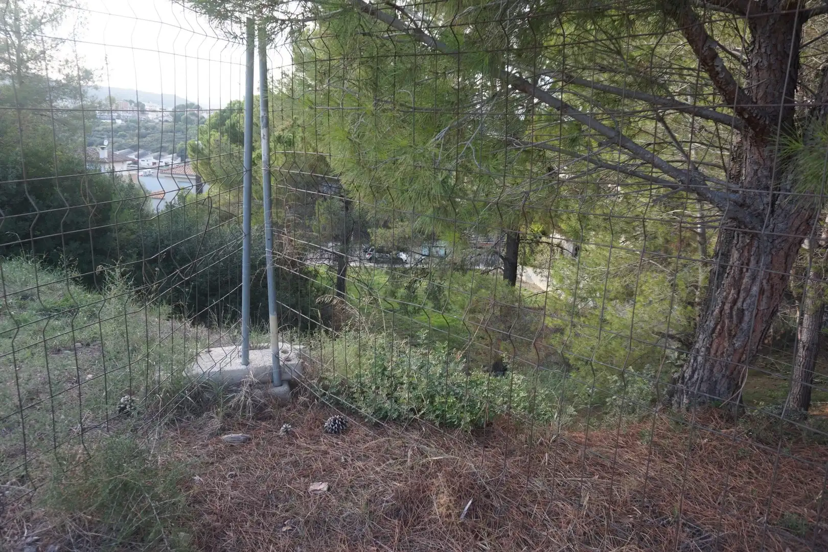 Terrenys i solars en venda a de l'Alzina, imagen 4
