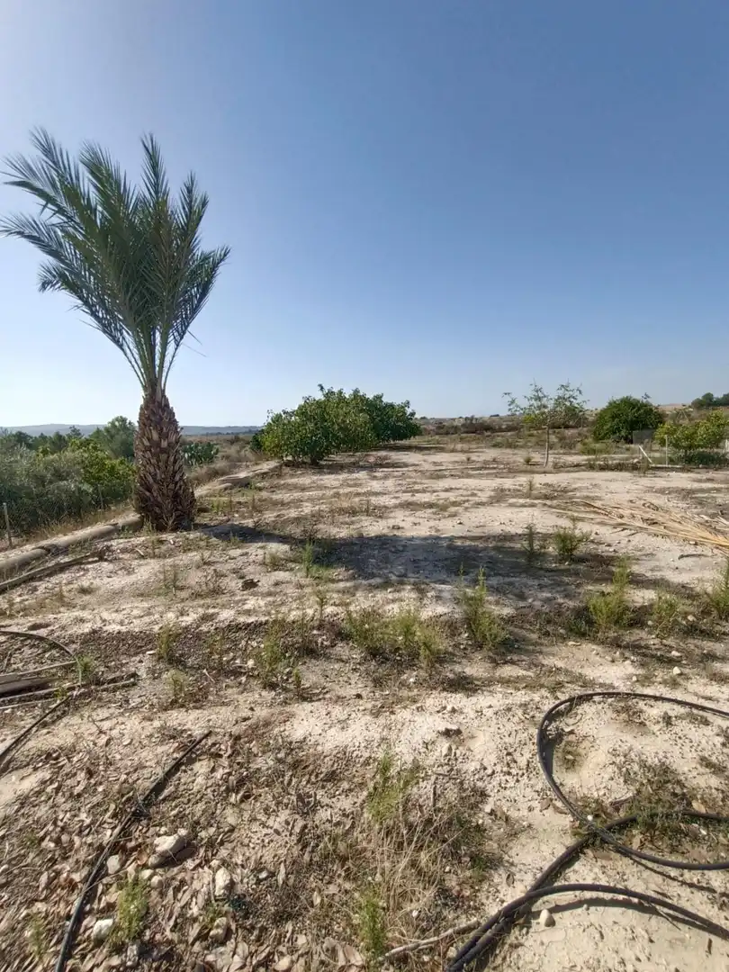Houses for sale in Molina de Segura