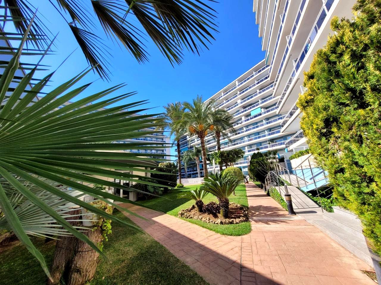 Exterior view of Apartment for sale in Gandia  with Air Conditioner, Terrace and Community pool