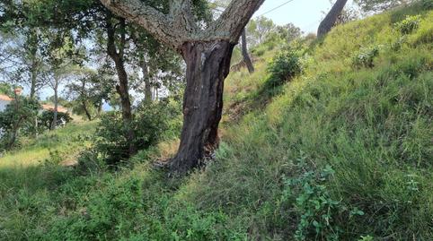Foto 4 de Residencial en venda a Tossa de Mar pueblo, Girona