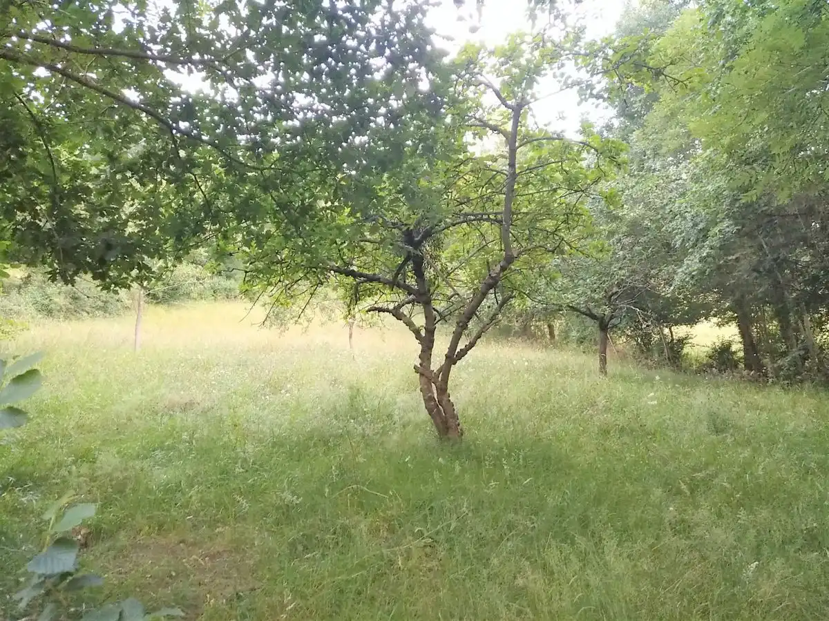 Residential land for sale in LAS CORRADAS (LA MATA), imagen 4