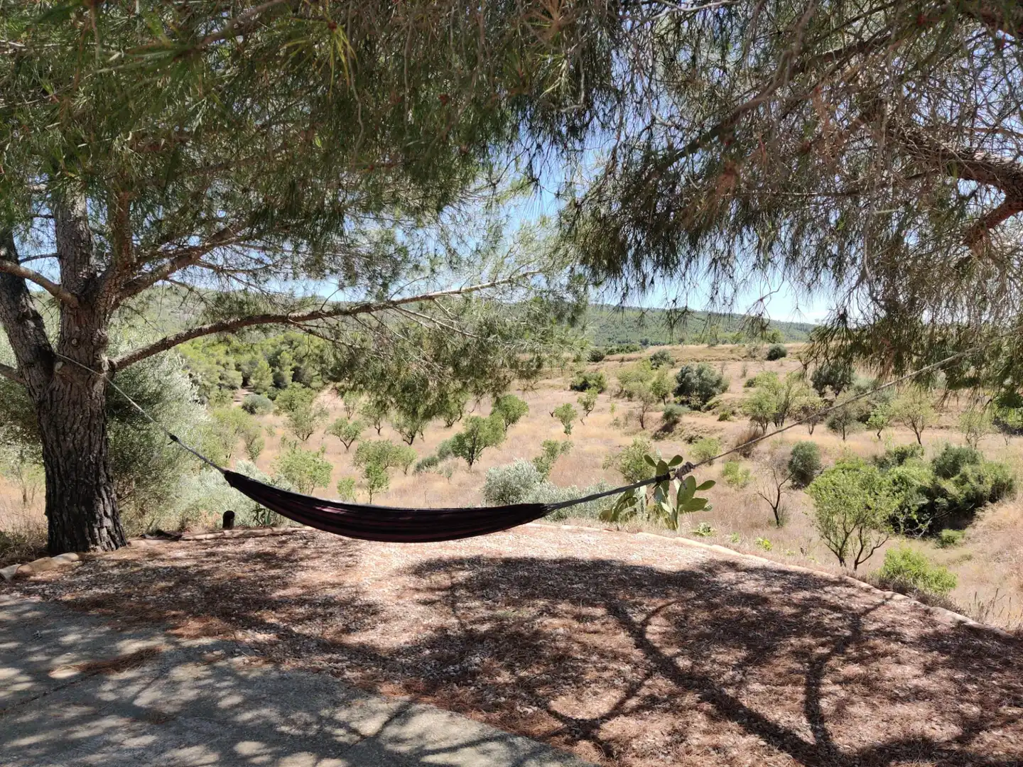 Finca rústica en venda a Ascó