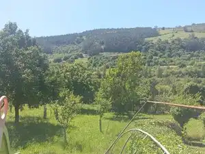 Haus mit Garten zum Verkauf in VV-10 3, imagen 5