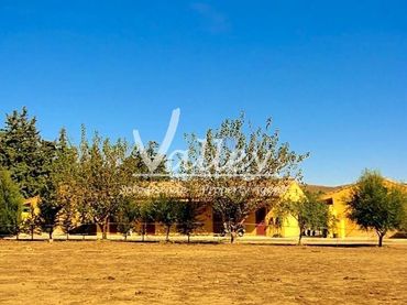 Terreni e lotti in vendita a Jimena de la Frontera