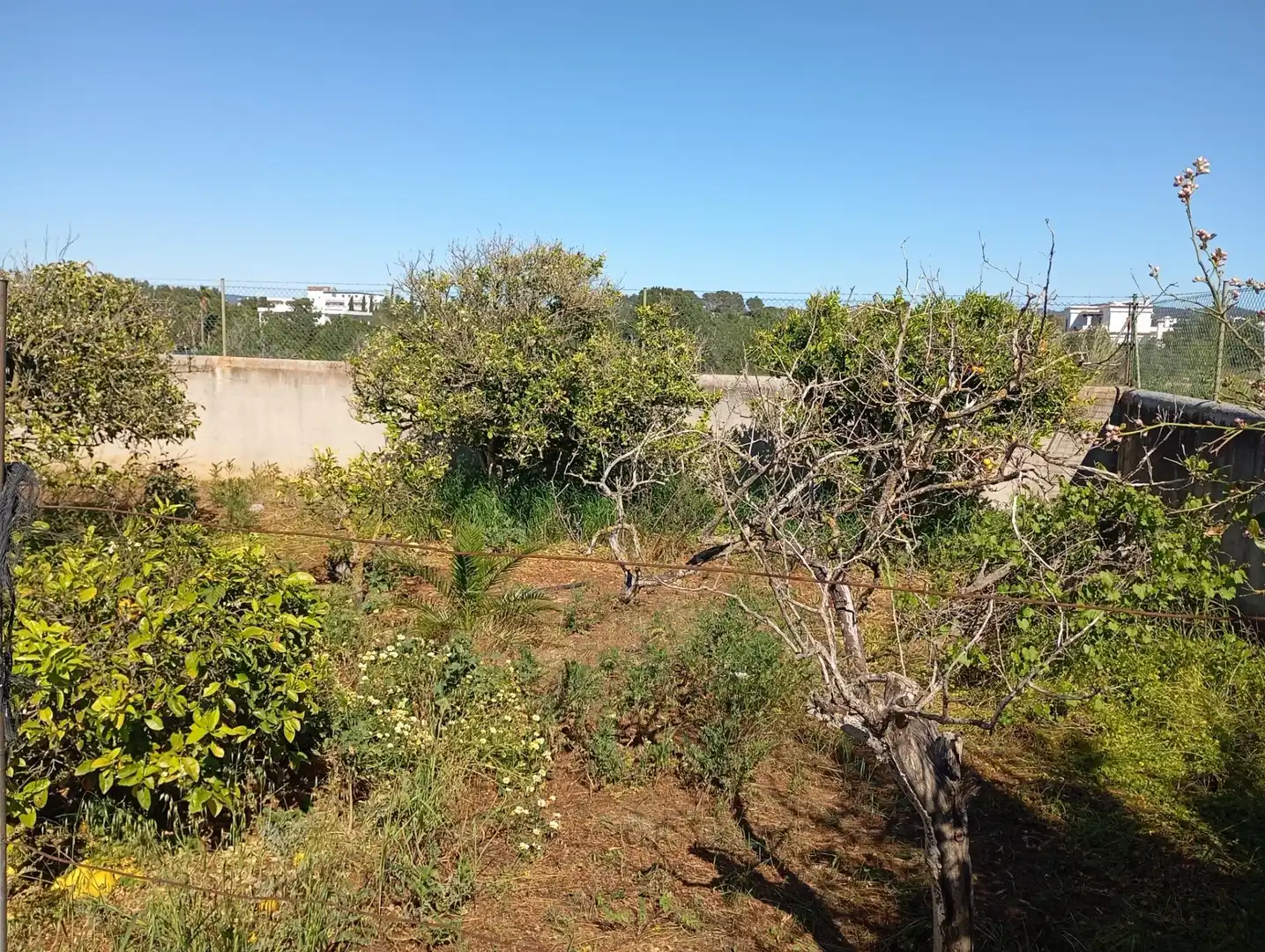 Villa con terrazza in vendita a Sant Agustí-Cala de Bou, imagen 11