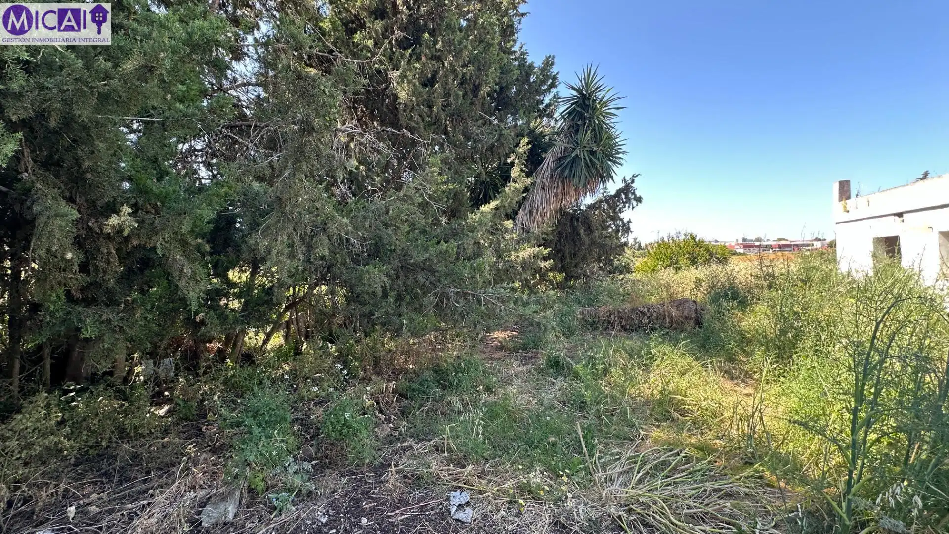 Casa o xalet en venda en Chiclana de la Frontera