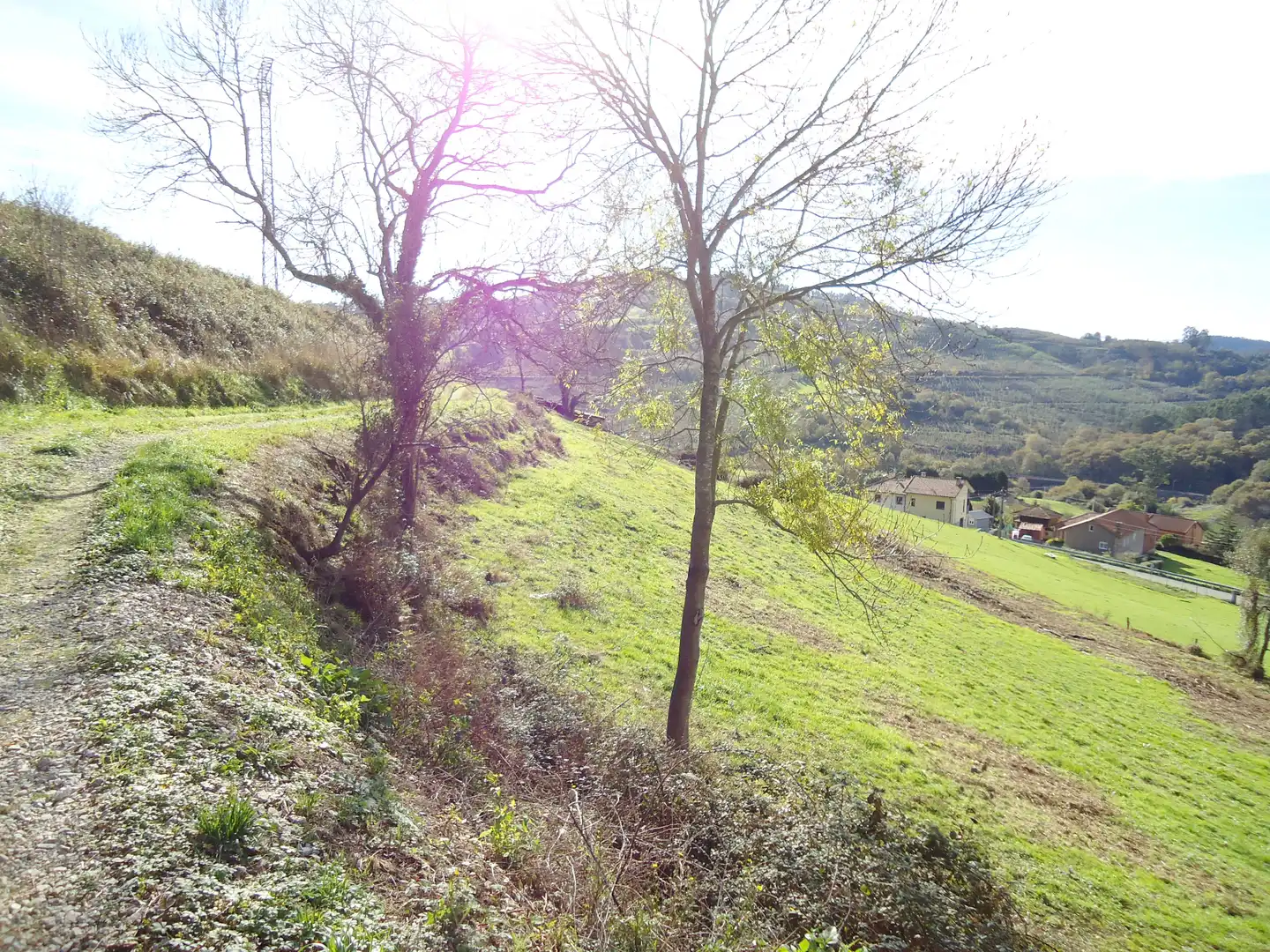 Wohnbaugrundstück zum Verkauf in LL-9, imagen 7