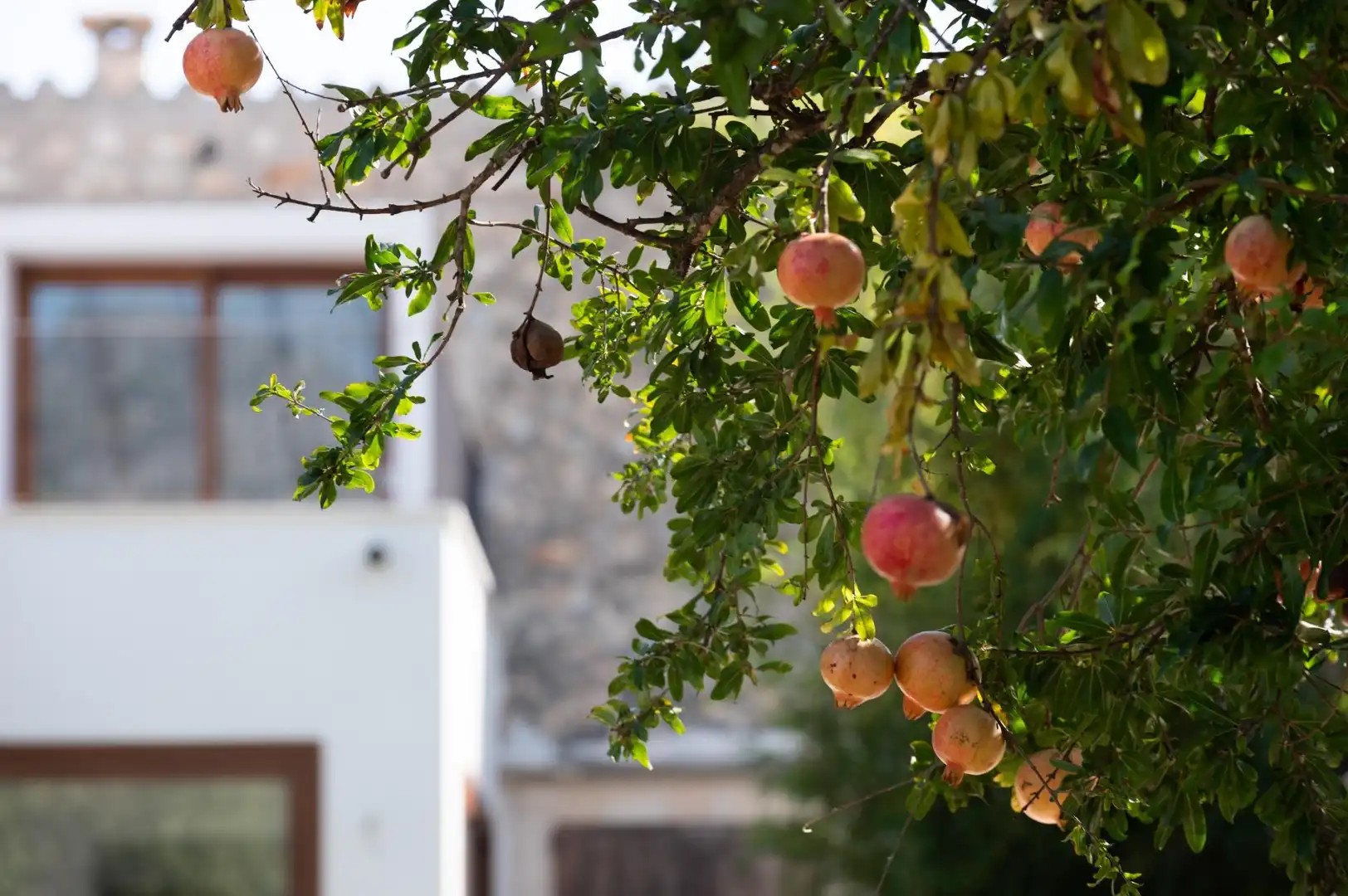 Casa amb piscina en venda a Campanet, imagen 31