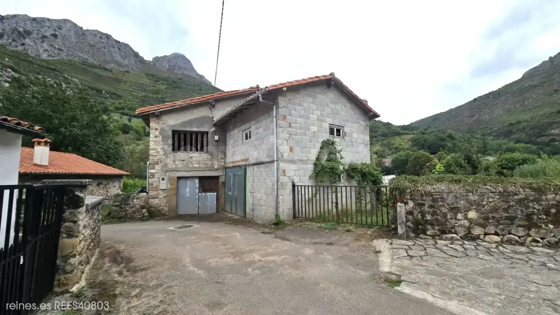Vista exterior de Finca rústica en venda en Peñamellera Alta amb Jardí privat