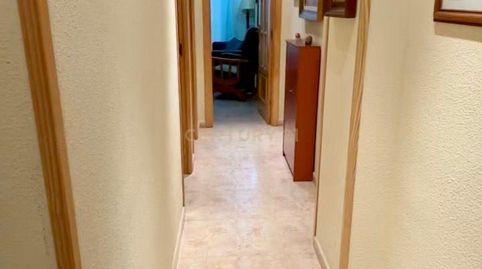 Photo 2 of Apartments for sale in Calle Tordo, Benidorm, Spain, -1, Centro Urbano, Benidorm