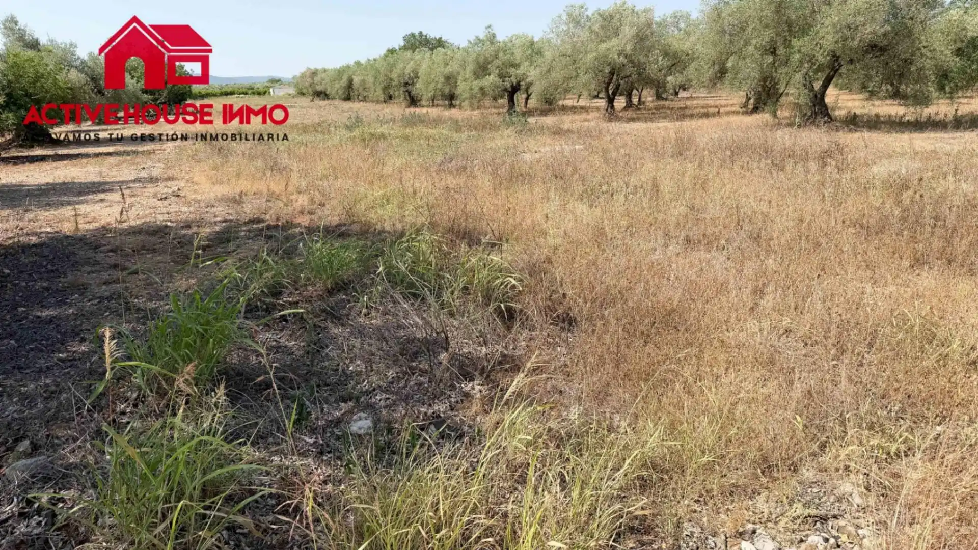 Rustikales Grundstück zum Verkauf in Cami del Romere, imagen 5