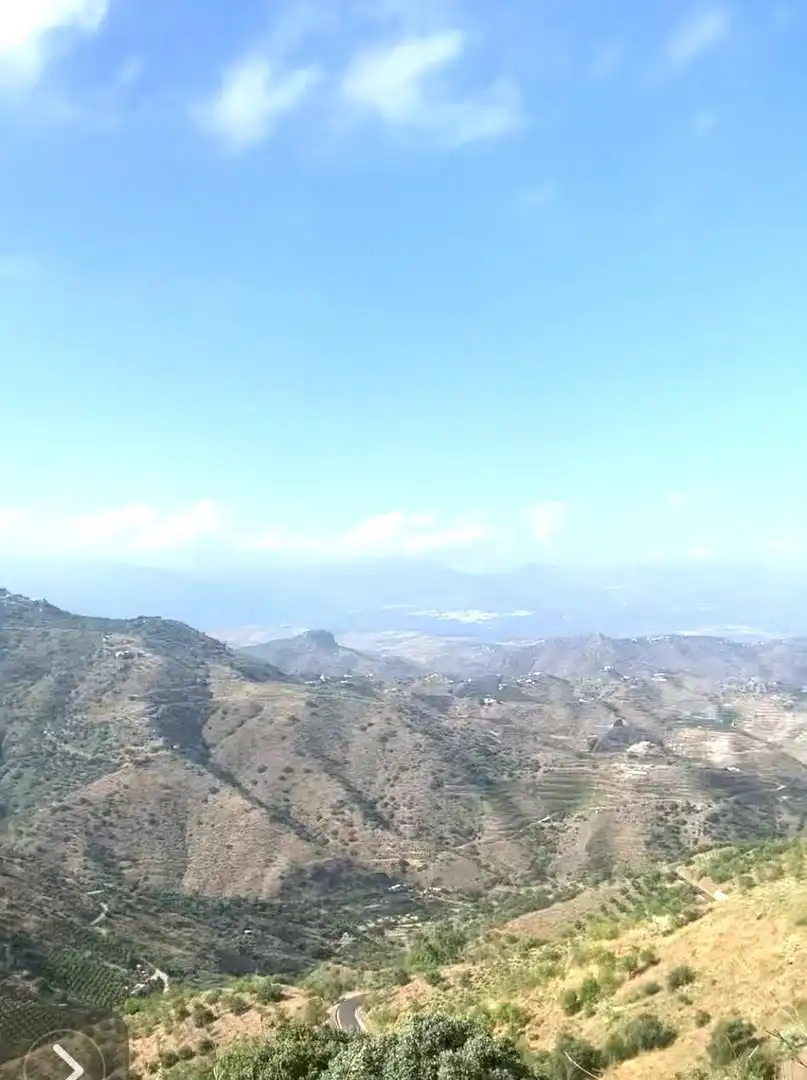 Vista exterior de Finca rústica en venda en El Borge amb Jardí privat, Terrassa i Traster