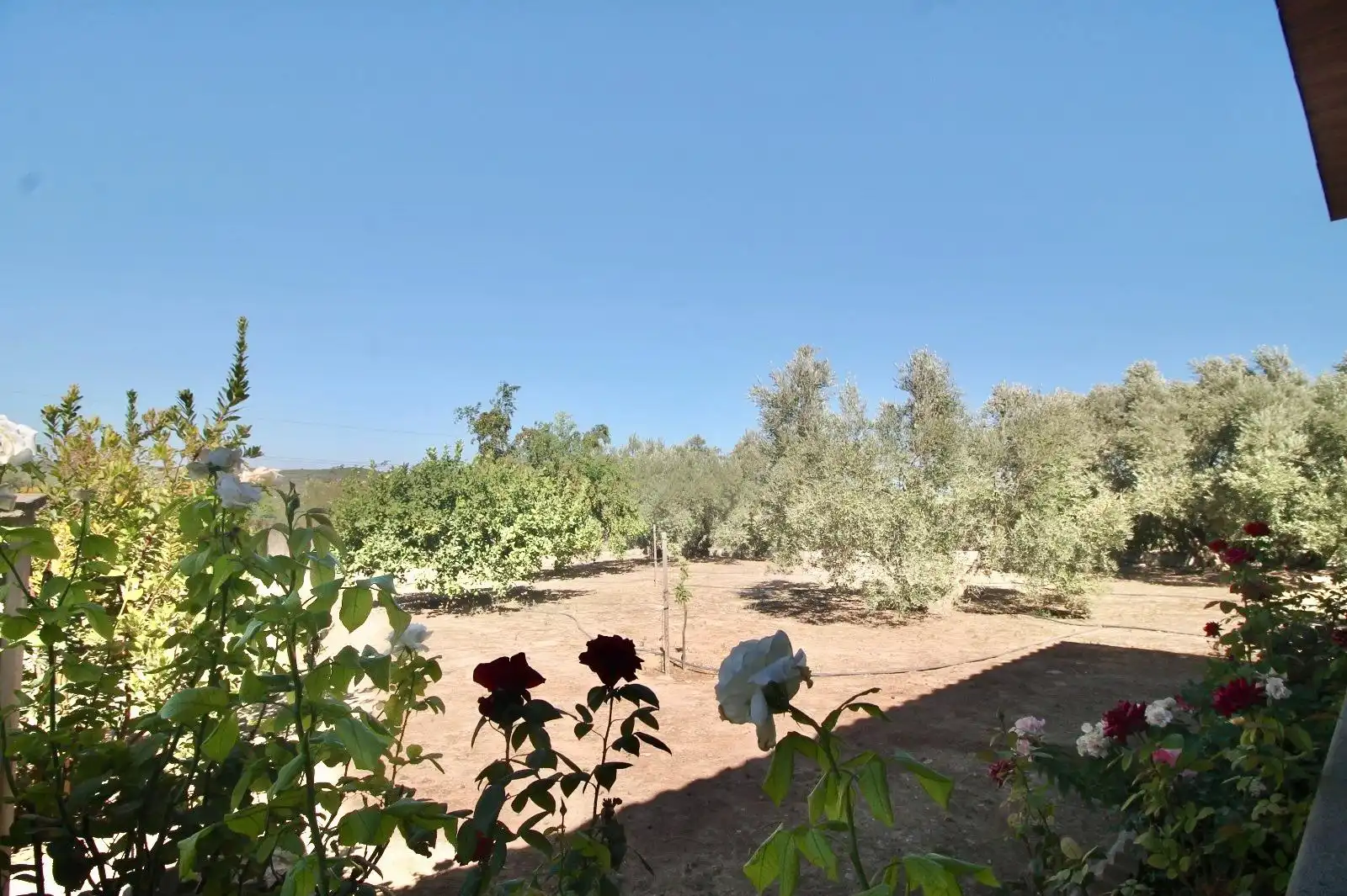 Casa rústica en venda a Bobadilla - Bobadilla Estación - La Joya, imagen 23
