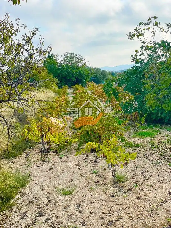Country homes for sale in Vélez-Rubio