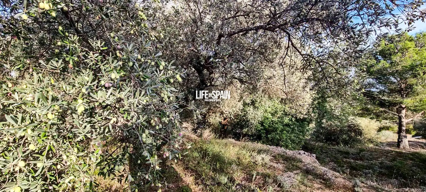Finca rústica en venda en Roquetes amb Jardí privat i Piscina