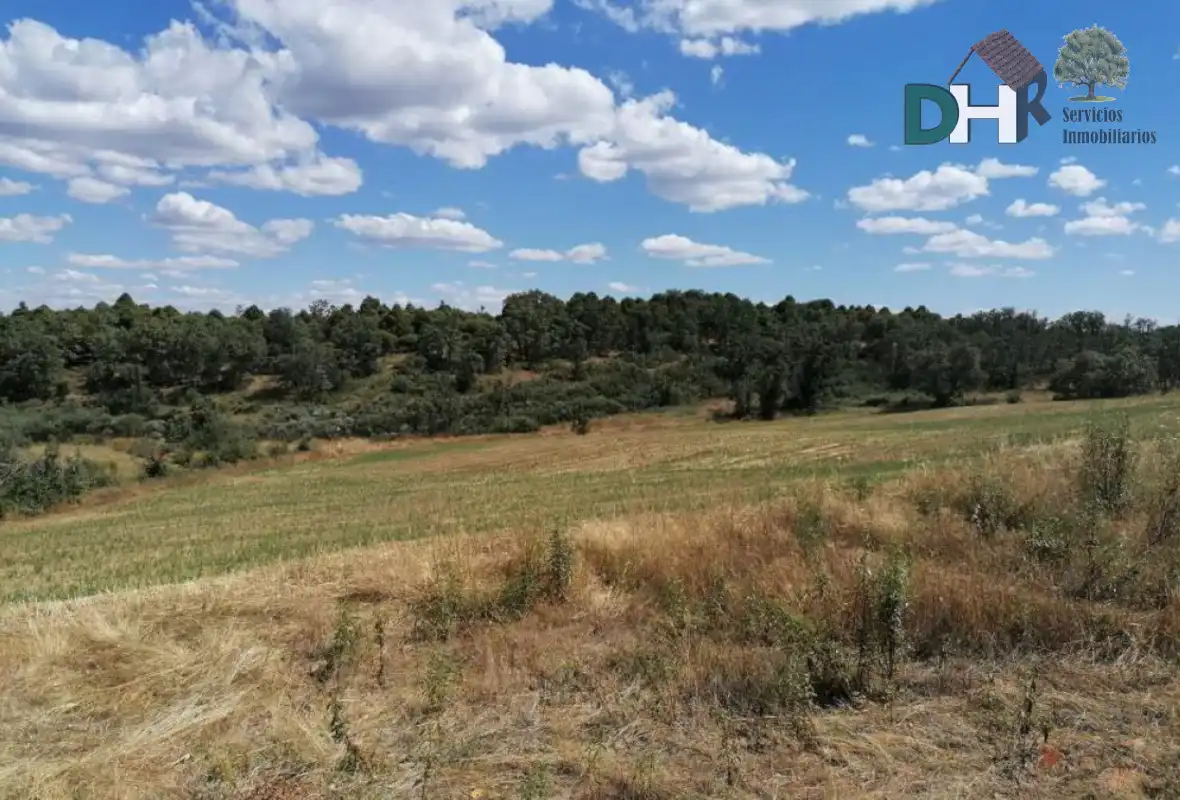 Terreni e lotti in vendita a Valverde del Fresno, imagen 6