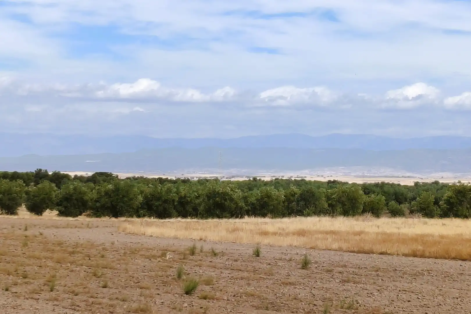 Rural land for sale in Santo Domingo-Caudilla, imagen 6