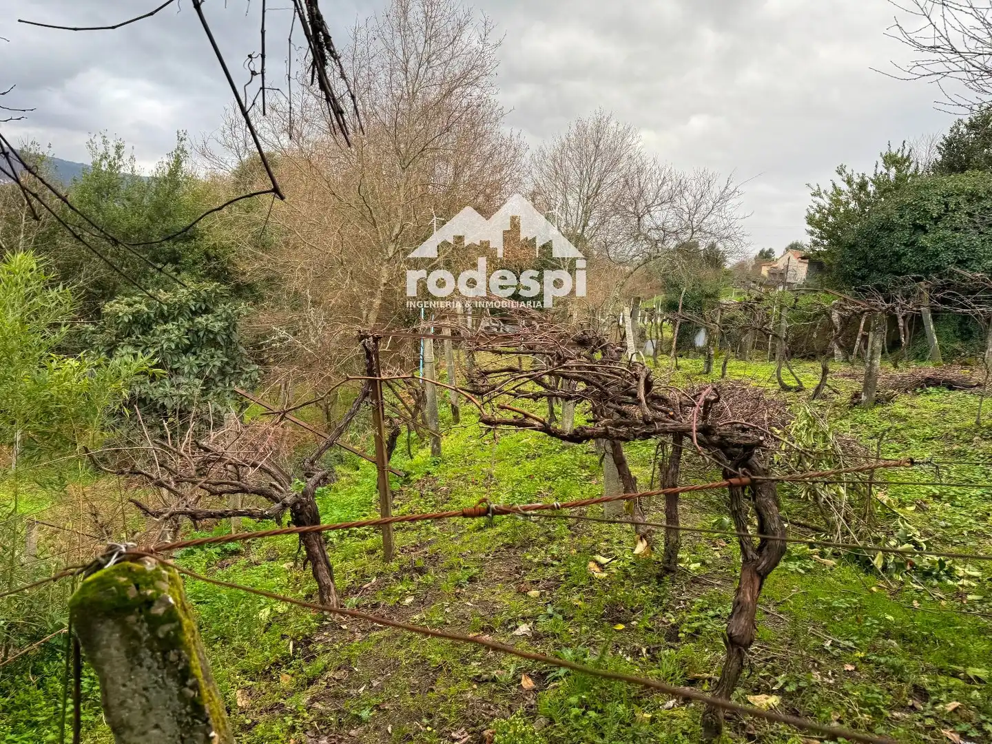 Casa o chalet en venta en Arbo