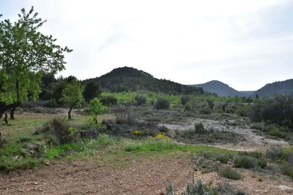 Country homes for sale in Ráfales