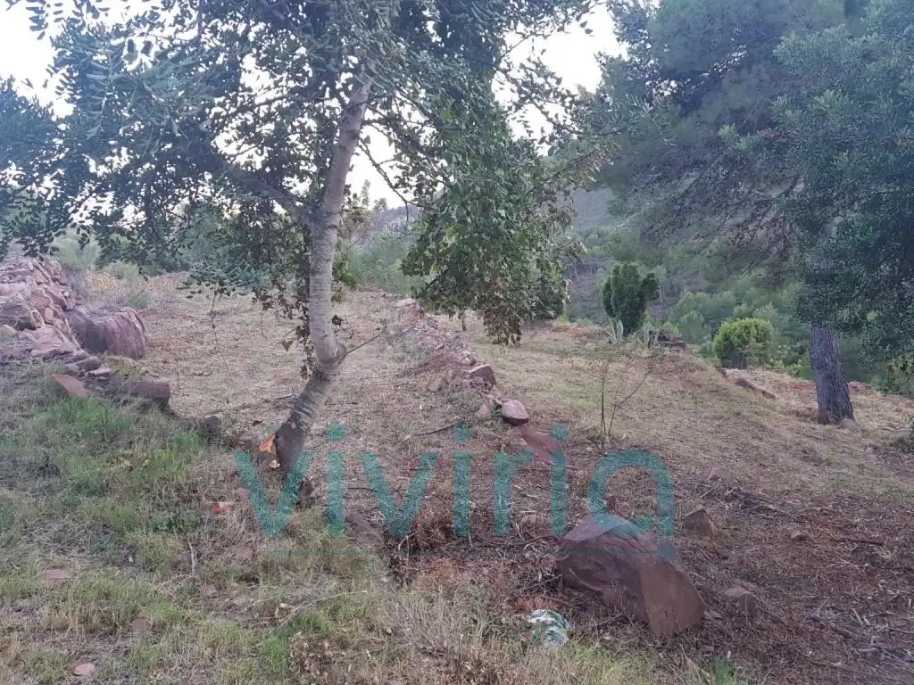 Terreno residencial en venta en Calle Canteres (Les), imagen 7