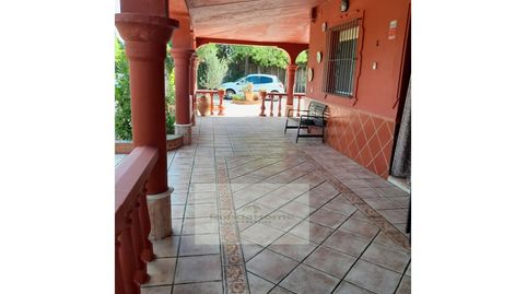 Finca con Encanto Rústico Piscina y Naturaleza en la Sierra de Cádiz  A Solo 7 km de Olvera, imatge 4