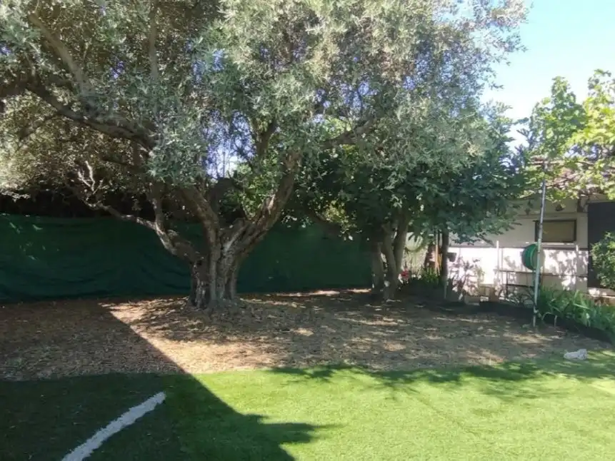 Planta baja en venta en Zaragoza, Zaragoza