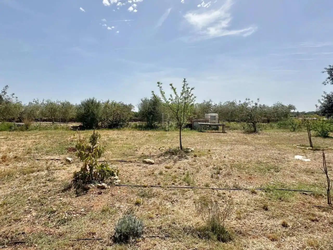 Finca rústica en venta en Vinaròs con Jardín privado y Terraza