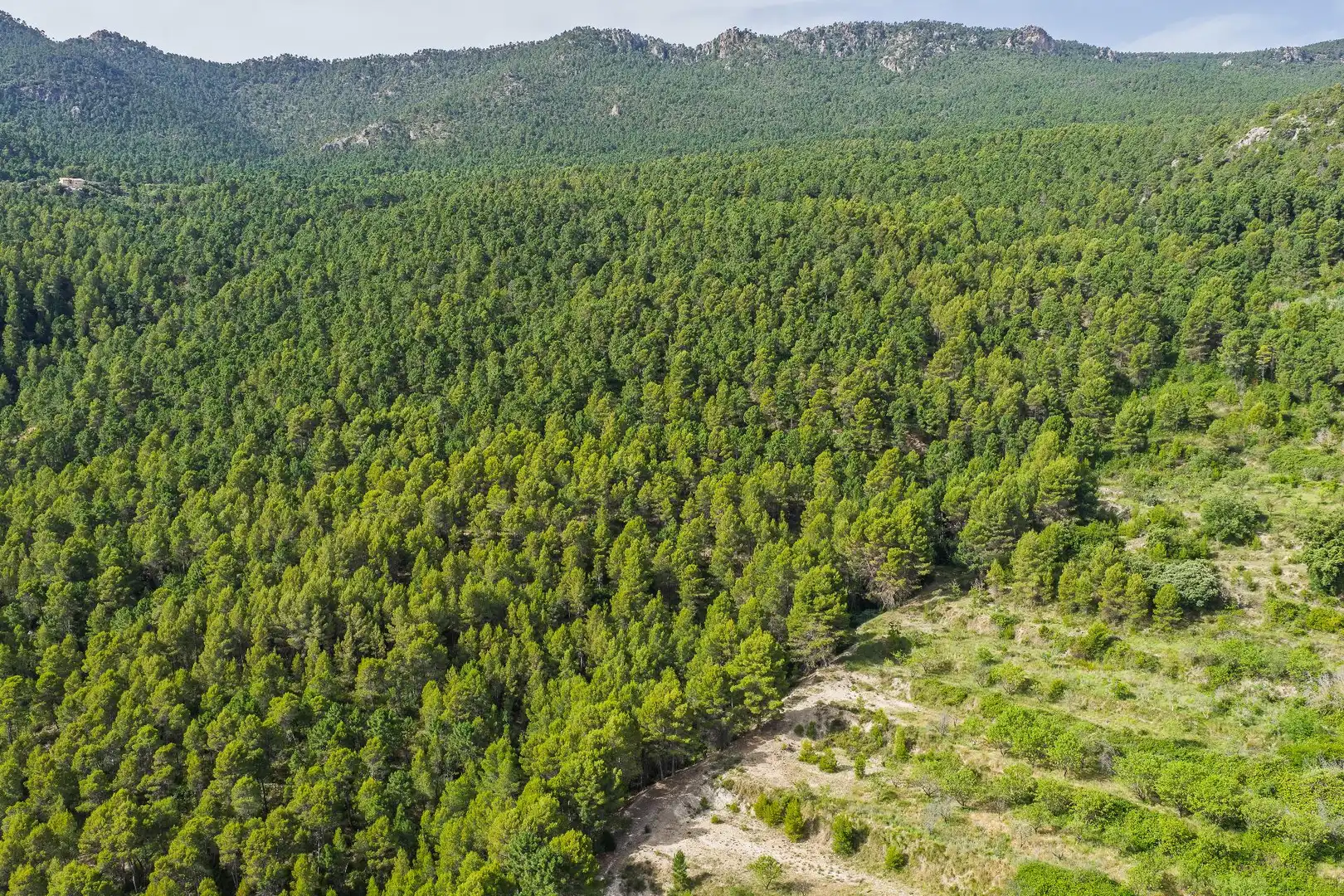 Finca rústica en venta en Moratalla con Piscina