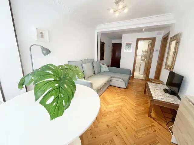 Living room of Flat for rent in Santander  with Heating, Parquet flooring and Furnished