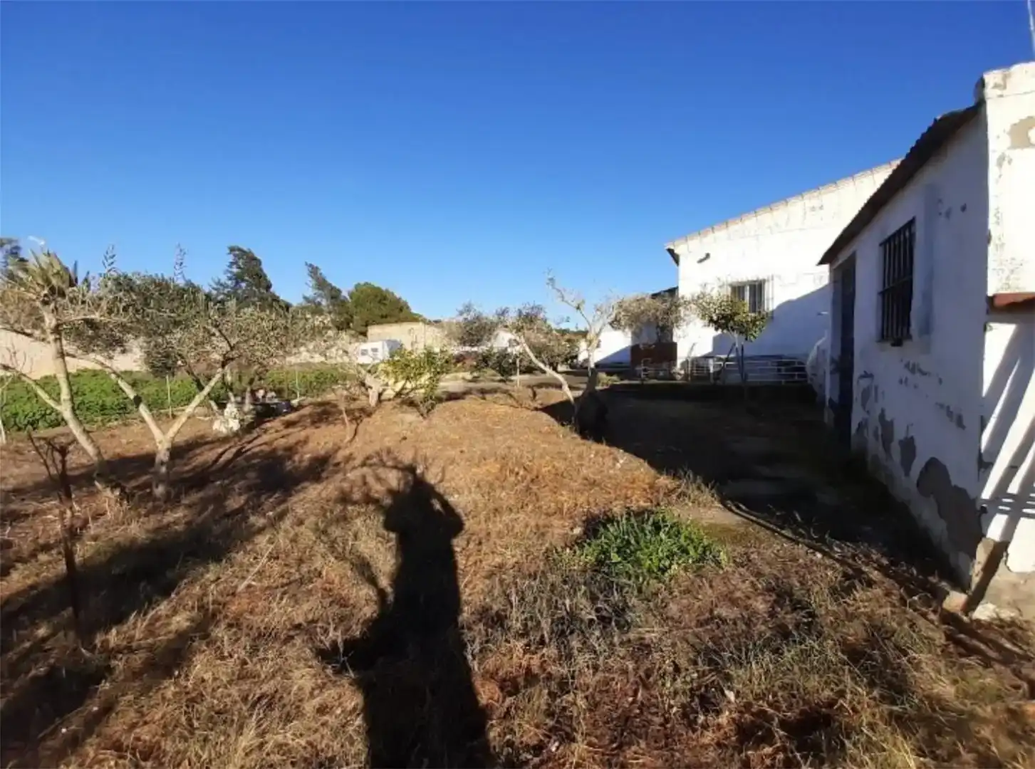 Finca rústica en venta en Paterna de Rivera