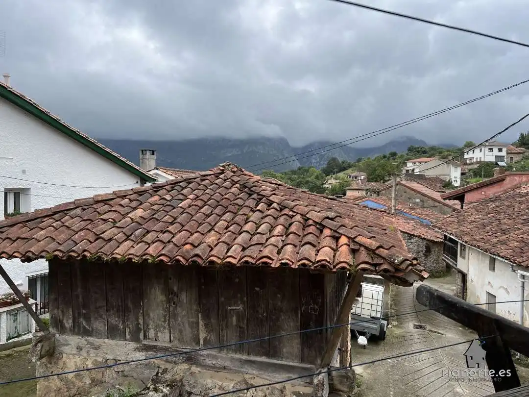 Vista exterior de Casa o xalet en venda en Cabrales